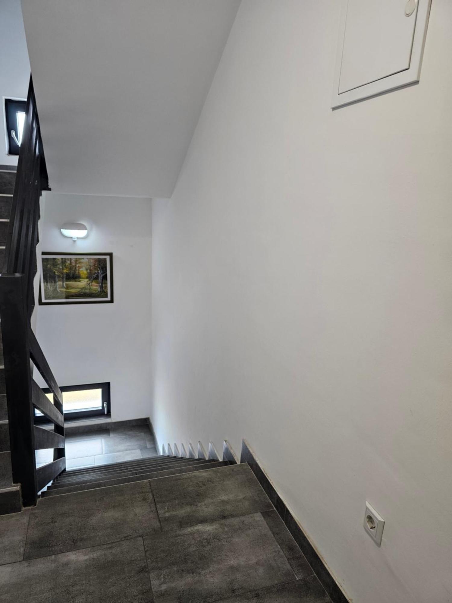 Selnica Scitarjevska Filipovic Rent A Car & Apartments מראה חיצוני תמונה